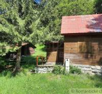 A cottage in a forest environment, surrounded by greenery, ideal for relaxation in nature.