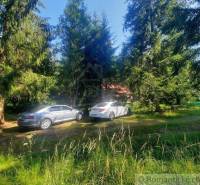 Cars are parked by the cabin in the forest, surrounded by greenery and trees.