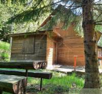 A cabin in the woods with wooden benches, suitable for relaxation and staying in nature.
