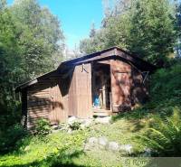 A wooden cabin lies in a wooded area, surrounded by a dense forest.