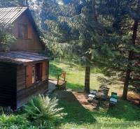 A cottage surrounded by forest, with coniferous trees and a wooden table in a natural setting.