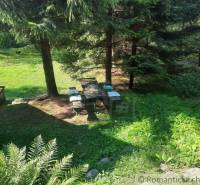 A cottage surrounded by nature, a picnic table in the shade of trees, green grass, relaxation.