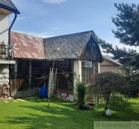 A family house with a garden, a wooden building, a tree, and a dog on the lawn.