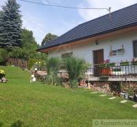 A family house with a wooden roof, flowers on the terrace, and a green garden.