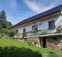 Family house with traditional design, wood in stock, garden, dog, clear sky.
