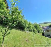 A sloping plot with grass, trees, and a family house with a view of the village and nature.
