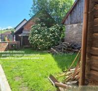 A garden by the family house, a wooden cottage, a pile of wood, behind the houses on the green grass.