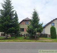 A family house with coniferous trees, a fence, and a road.
