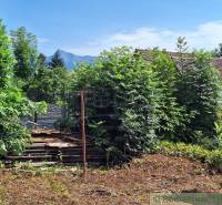 A garden with a pile of wood, hills in the background, and a family house behind the trees.