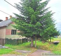 A house next to the road with a fir tree, a family house, a small garden, a village environment.