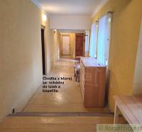 A corridor with wooden furniture, doors leading to rooms, natural light, commercial spaces.