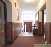 A hallway in a family house with wooden paneling and a carpeted surface, light penetrates through the window.