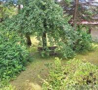 A garden with a bench and trees offers a pleasant retreat for properties and living.