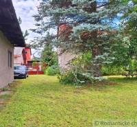 A garden with a lawn, trees, and a parked car, ideal for family living.