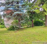 Peaceful residential plots with large trees, a bench, and a house in the background.