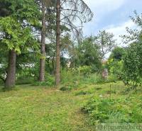 Greenery with tall trees, a meadow, and plots of land for peaceful living and overall relaxation.