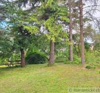 Peaceful lands: an idyllic space for living with natural trees and a bench.