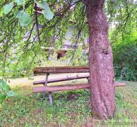 A wooden bench under a tree in the garden provides rest and connection with nature.