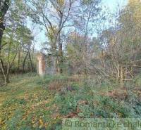 Overgrown area with ruins and trees, suitable for recreational plots, in nature.
