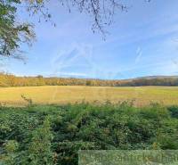 Greenery and clearing, ideal for recreational plots, offer peace and nature.