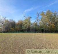 The picture shows nature and recreational grounds, bordered by trees under a blue sky.
