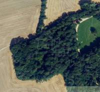 Aerial view of a forest and meadow, ideal for recreational properties.