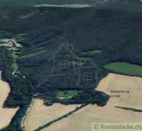 Meadows and recreational plots near the forest, suitable for cottages and recreation.