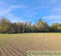 An open meadow surrounded by trees, ideal for recreational properties in nature.