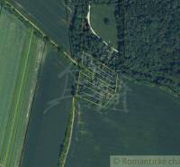 Aerial view of recreational plots surrounded by forest and fields.