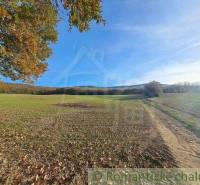 The picture shows a picturesque landscape, recreational plots lined with trees and a blue sky.