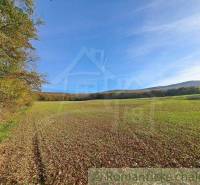 Extensive green meadows surrounded by forests and mountains, ideal for recreational properties.