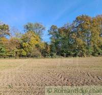 A meadow with a forest on the horizon, recreational plots, an ideal place for relaxation.