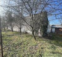 The garden surrounds an older family house, without leaves, with trees and a fence.