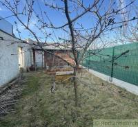The garden contains a fruit tree, a grassy area, and a fence by the family house.
