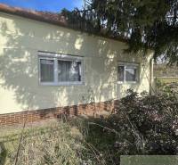 A family house with windows, grass, and a tree offers a pleasant living space.