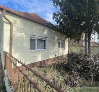 A family house with a brown roof is surrounded by tree branches and an iron fence.