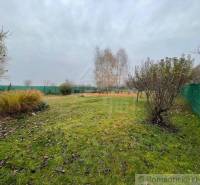 A lawn with deciduous trees, ideal for relaxation gardens and recreational activities.