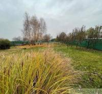 A garden with grass, trees, and a fence offers a peaceful space for relaxation.