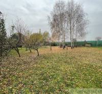 A garden with trees, fallen leaves, and a lawn in the countryside, autumn and nature.