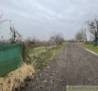 A country road lined with trees alongside green fences and gardens. The weather is overcast.
