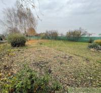 Lawn and gardens surrounded by bushes and trees, with a gravel path.