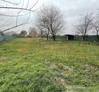 A large garden with scattered trees and a cottage, surrounded by a fence.