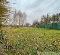 Gardens with trees on an autumn lawn, a blue sky conceals the green landscape.
