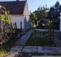 A family house with yards, a pathway, and a garden in the shade of trees.