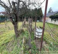A garden with a lawn and a tree near a family house, ideal for nature and relaxation.
