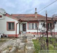 A family house with a traditional roof, terrace, satellite, and a garden with vines.