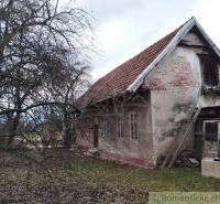 An old family house with peeling facade and surrounding trees in a winter setting.