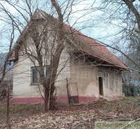 A family house with a red roof surrounded by trees, in winter.