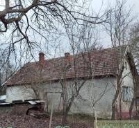 An old family house, surrounded by trees with a winter appearance.
