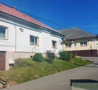 A family house by the road with a lawn and bushes in a peaceful village.